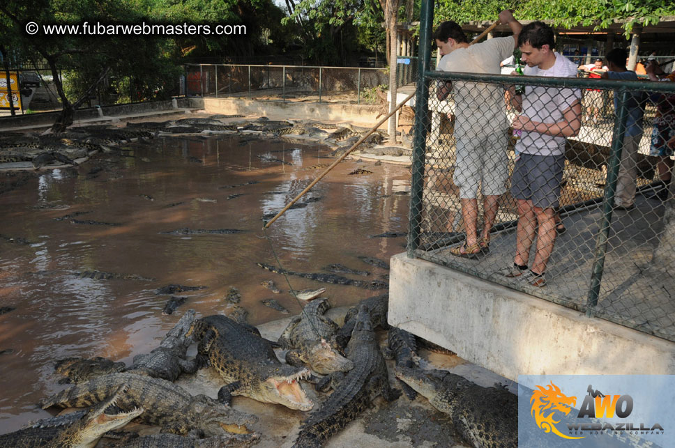 Crocodile Farm