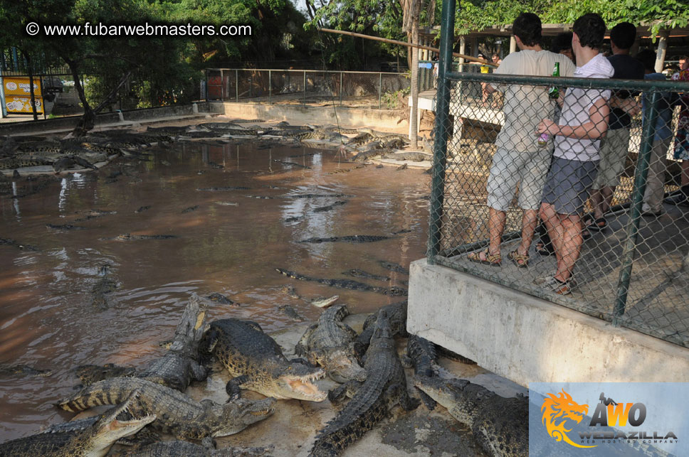 Crocodile Farm