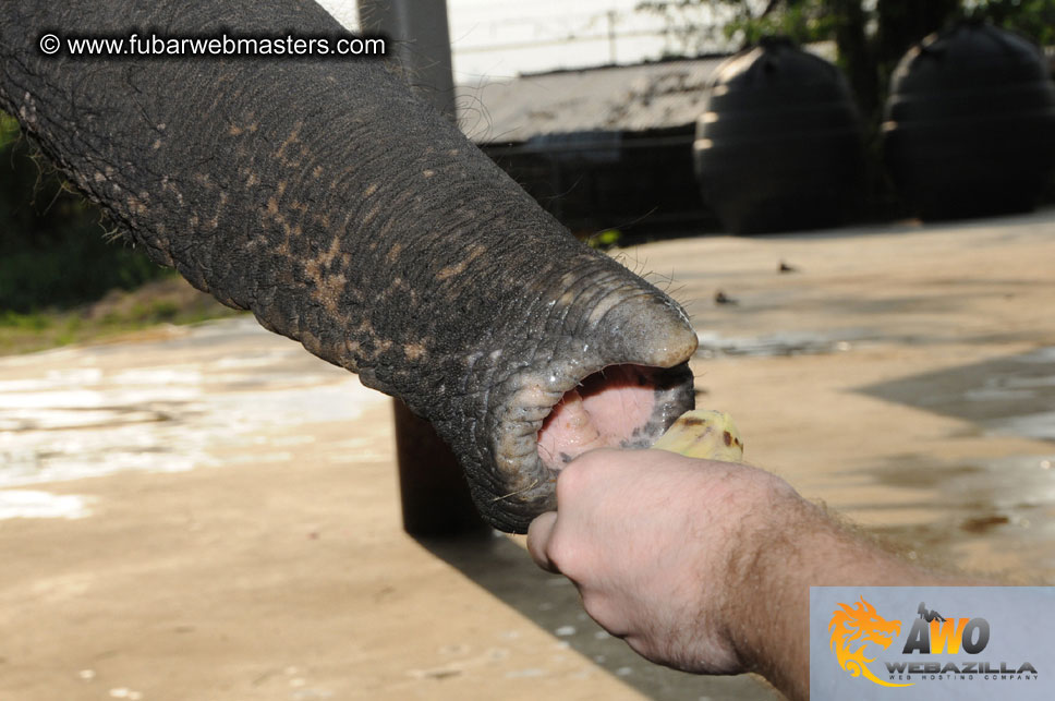 Crocodile Farm