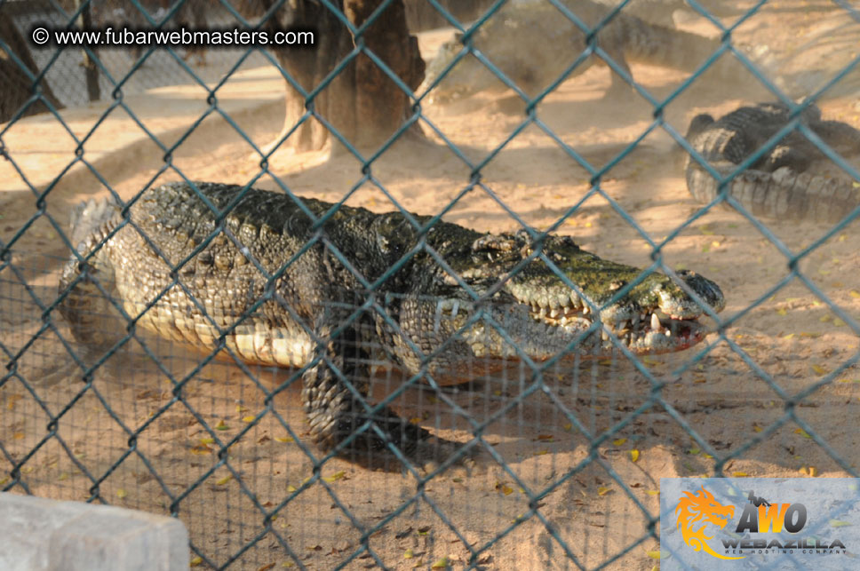 Crocodile Farm