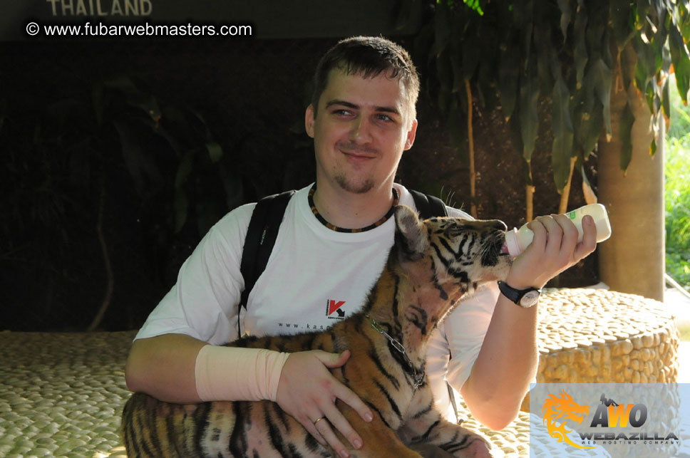 Crocodile Farm