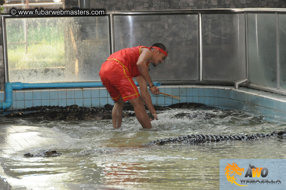 Crocodile Farm