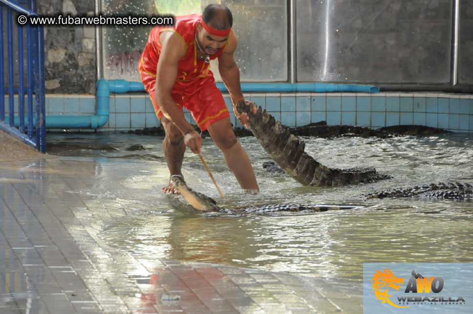 Crocodile Farm