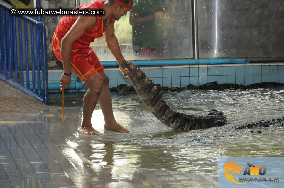 Crocodile Farm