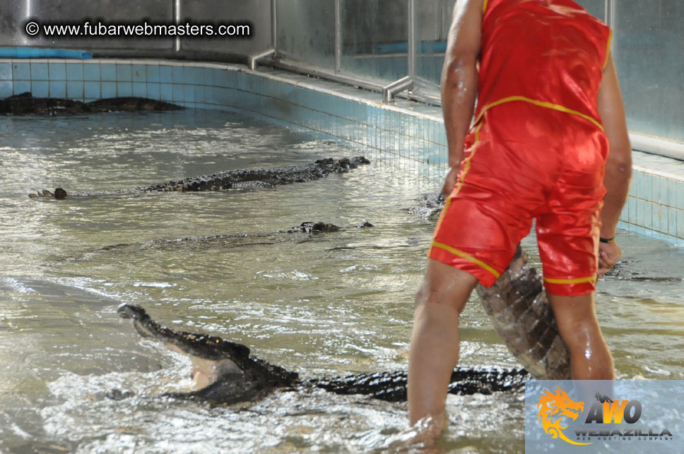 Crocodile Farm