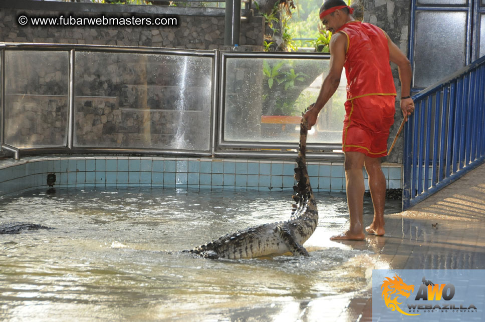 Crocodile Farm