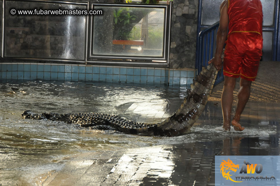 Crocodile Farm