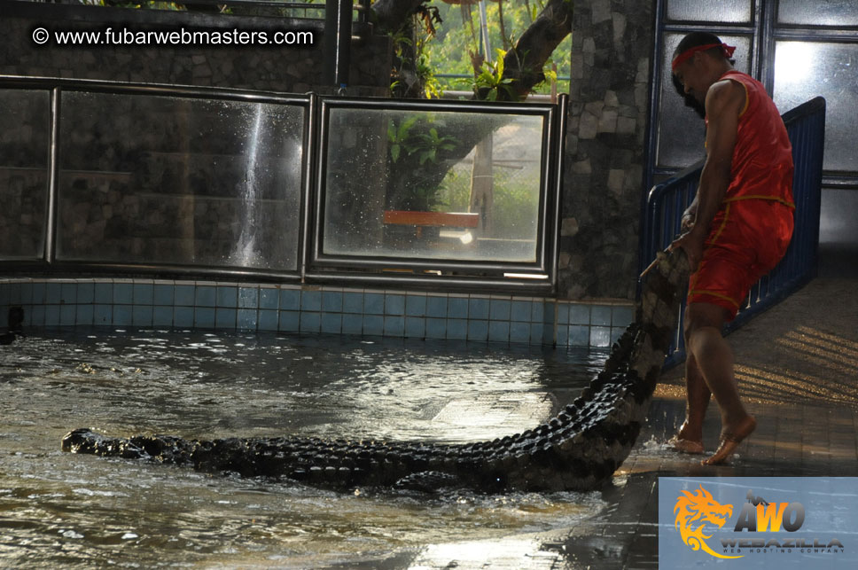 Crocodile Farm