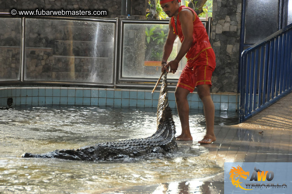 Crocodile Farm