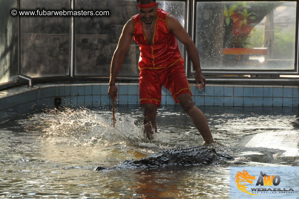 Crocodile Farm