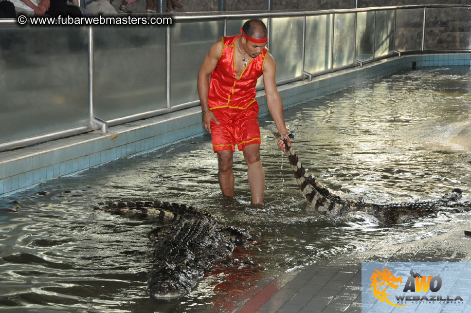 Crocodile Farm