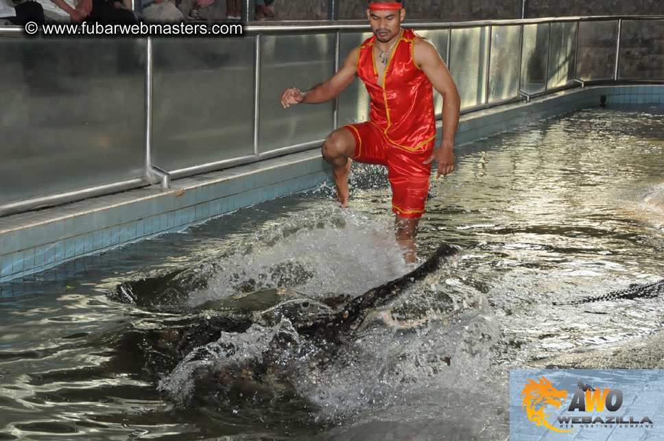 Crocodile Farm