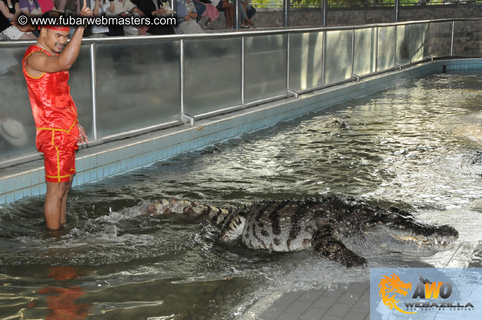 Crocodile Farm