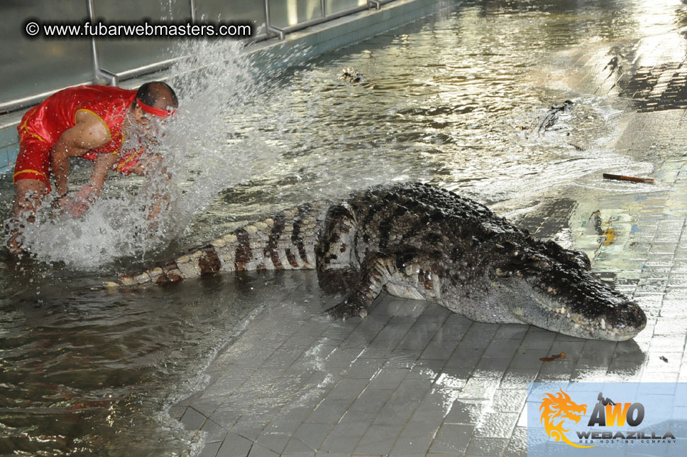 Crocodile Farm