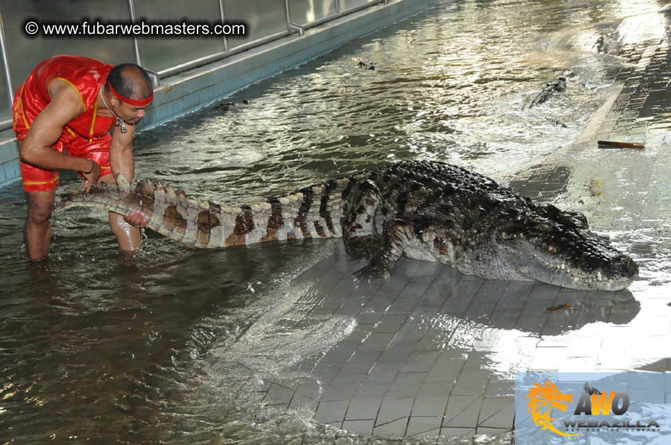 Crocodile Farm