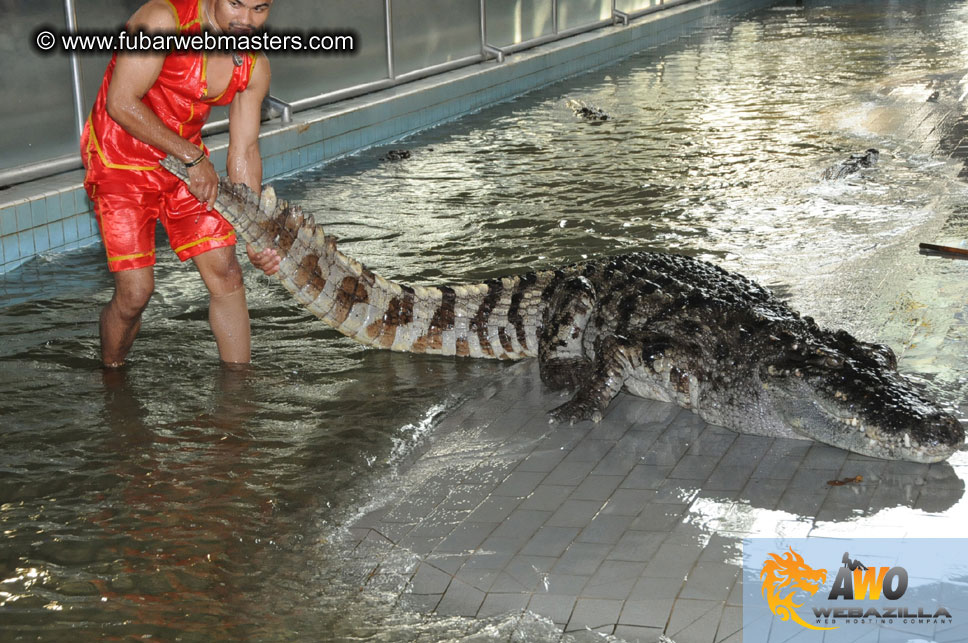 Crocodile Farm