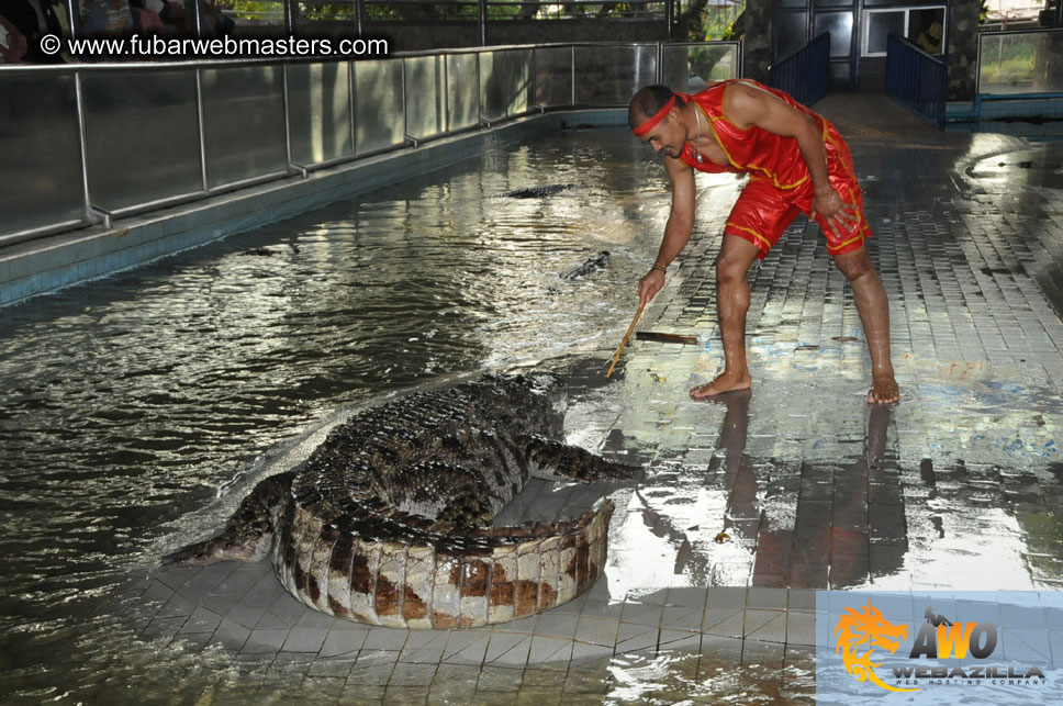 Crocodile Farm