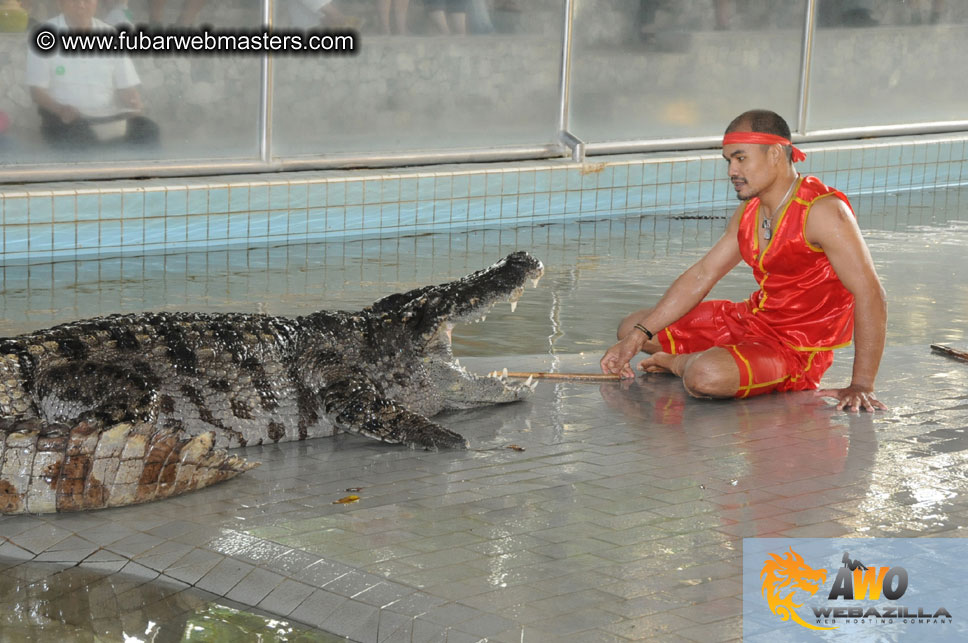 Crocodile Farm