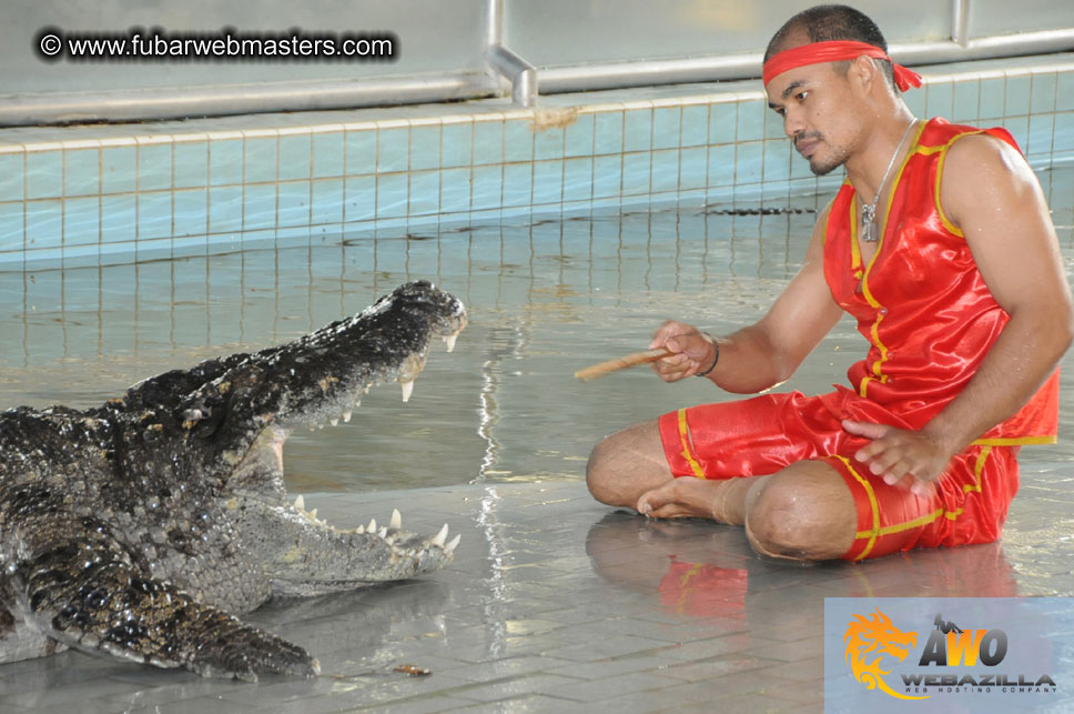 Crocodile Farm