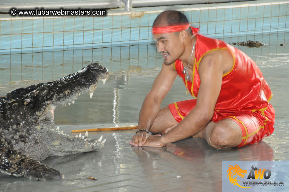 Crocodile Farm