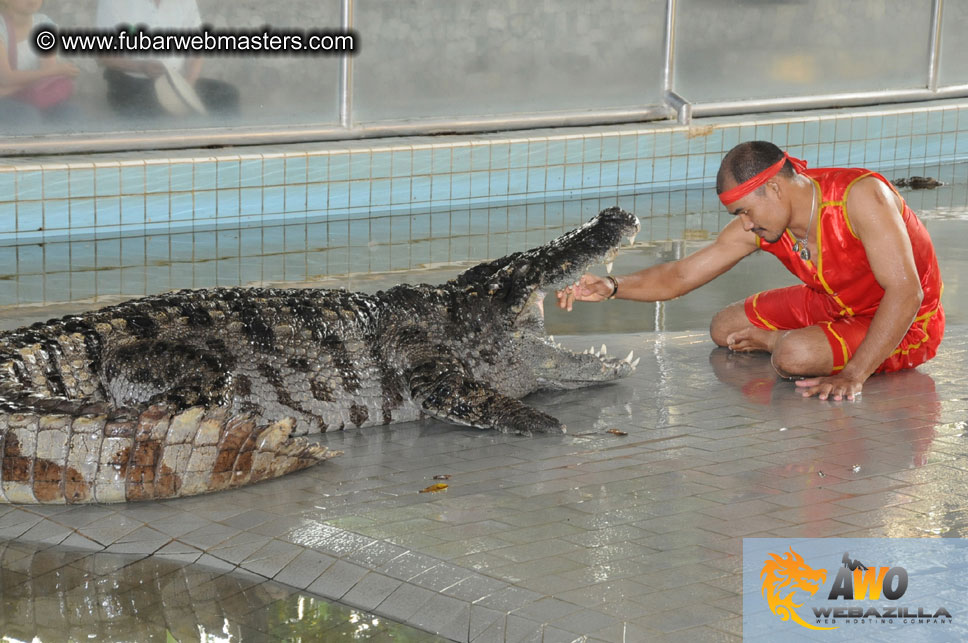 Crocodile Farm