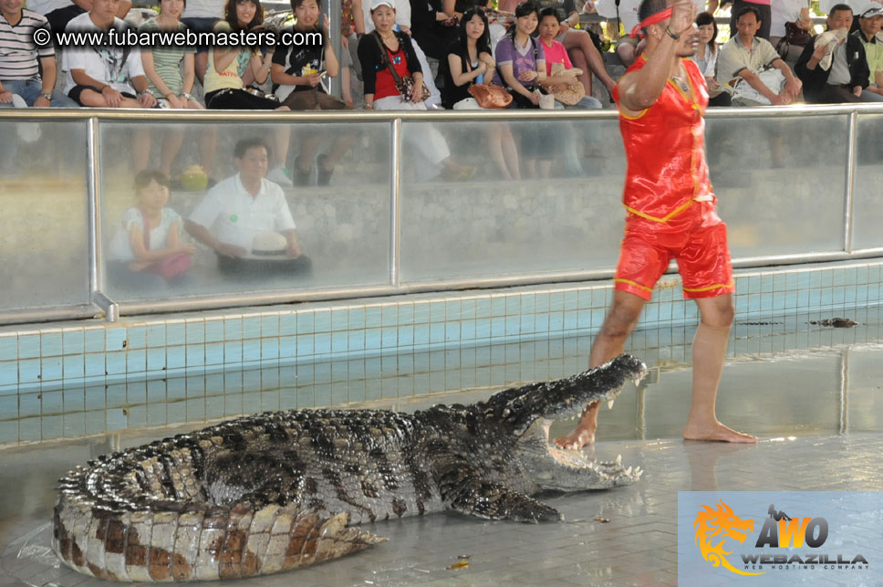 Crocodile Farm