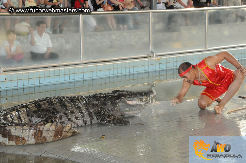 Crocodile Farm