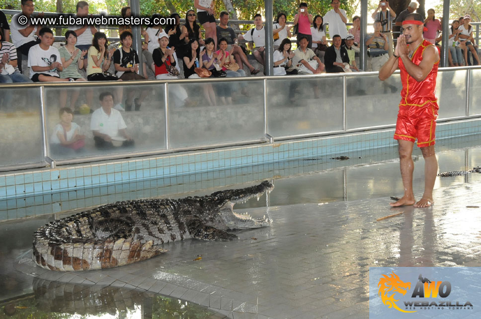 Crocodile Farm