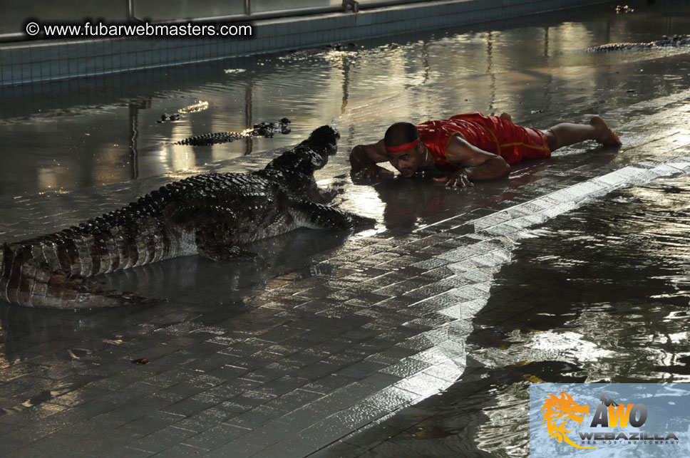 Crocodile Farm