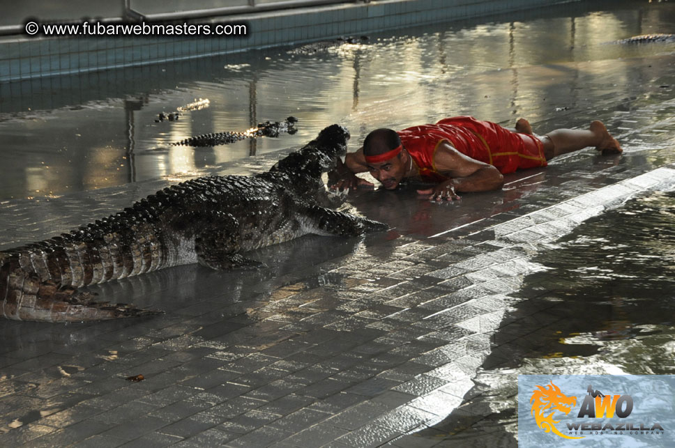 Crocodile Farm