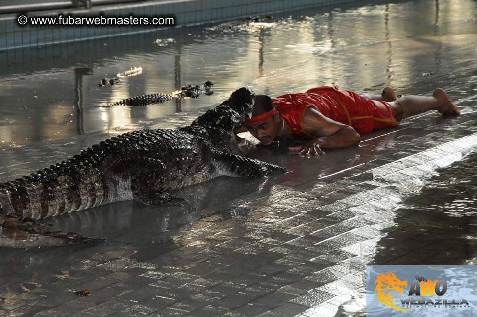 Crocodile Farm