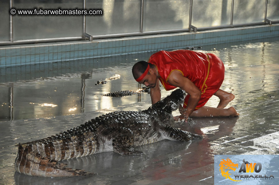 Crocodile Farm