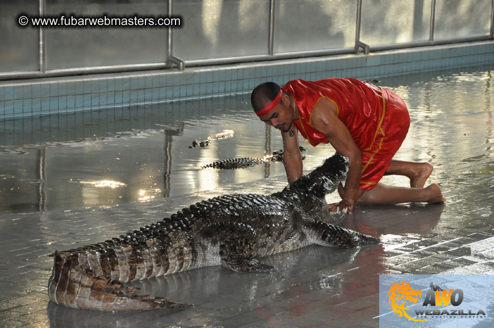 Crocodile Farm