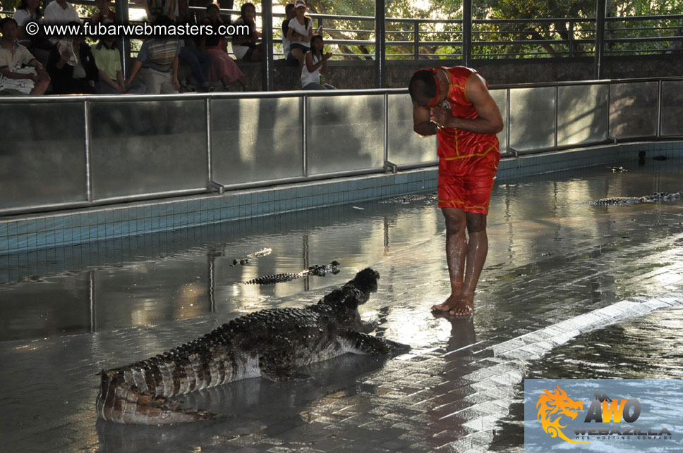 Crocodile Farm