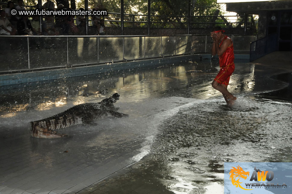 Crocodile Farm