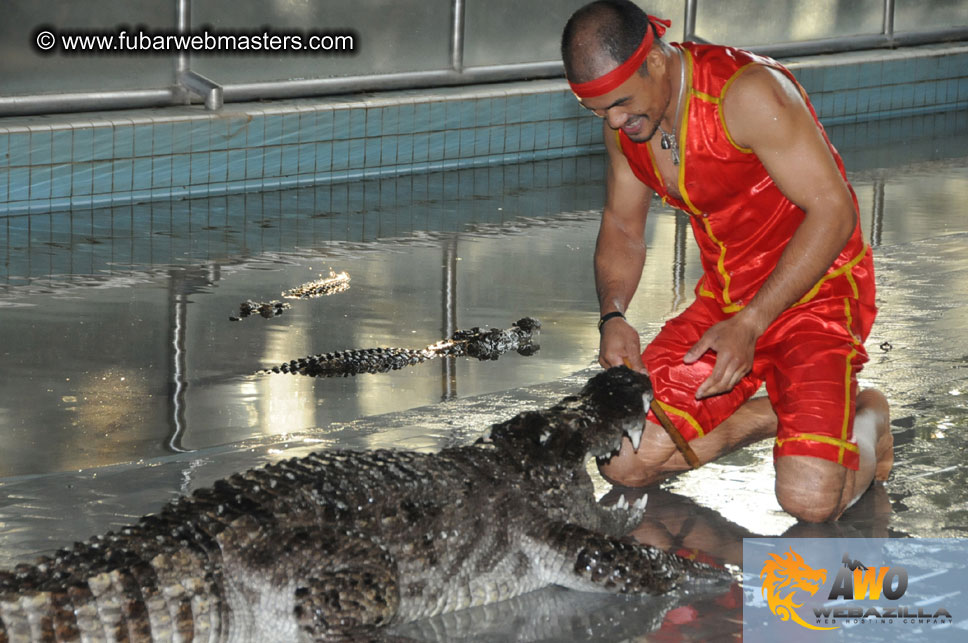 Crocodile Farm