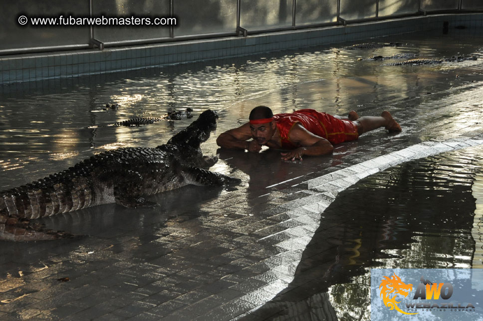 Crocodile Farm