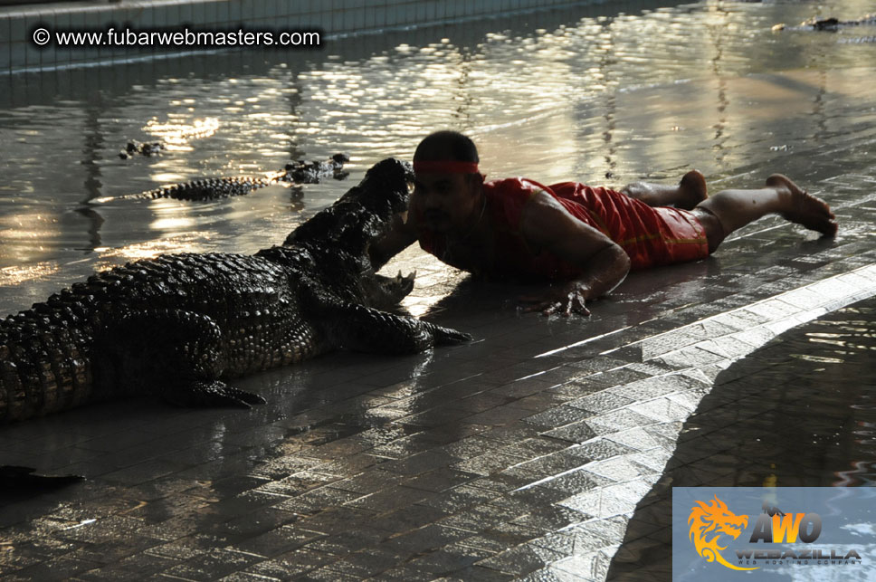 Crocodile Farm