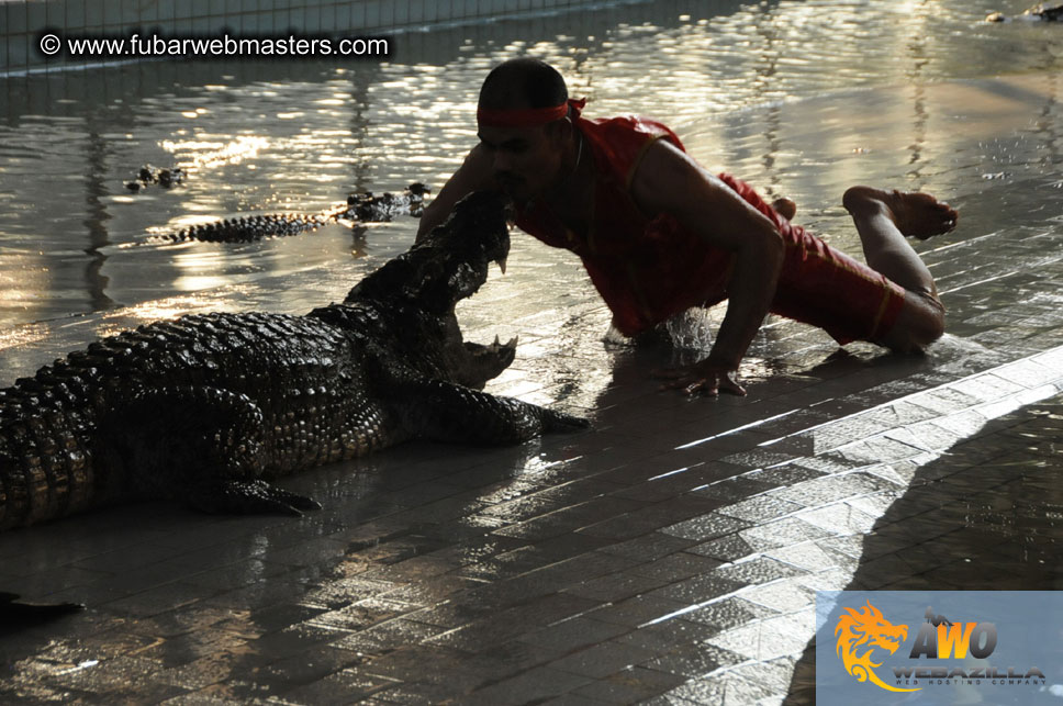 Crocodile Farm