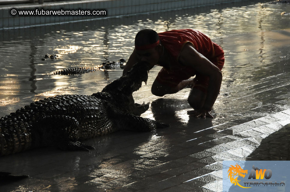 Crocodile Farm