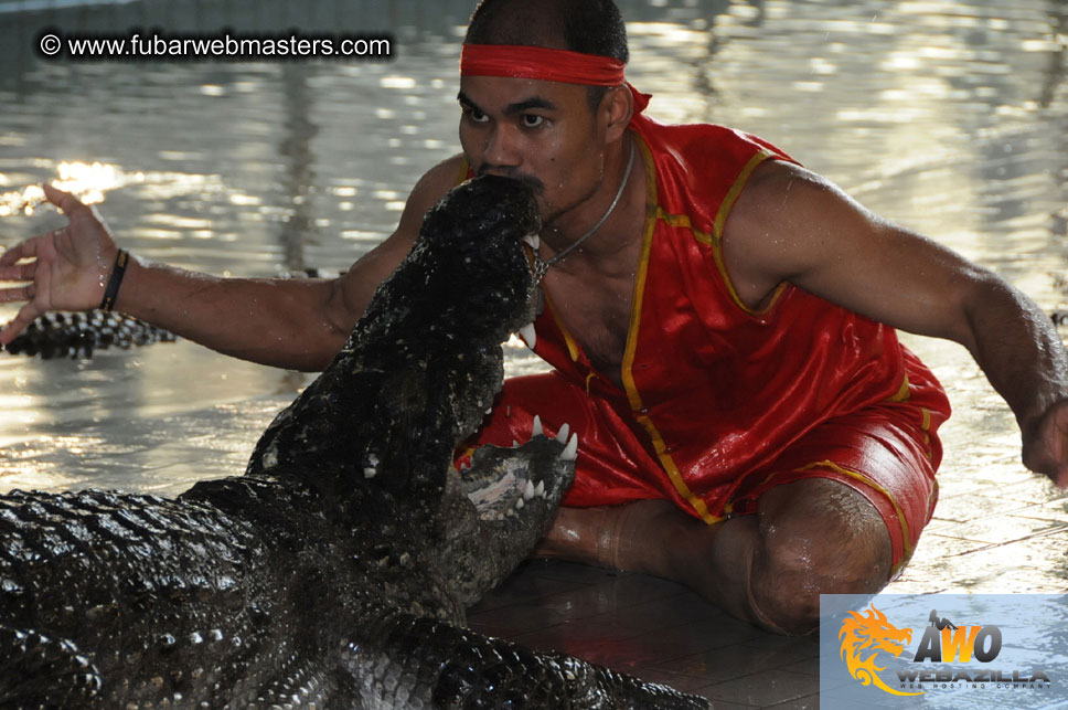 Crocodile Farm