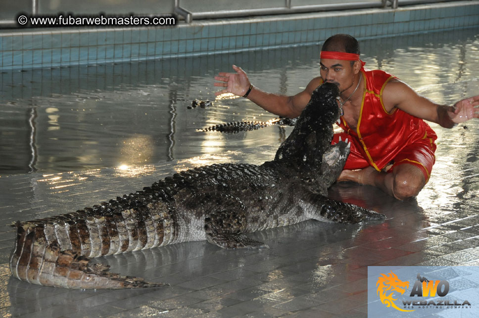 Crocodile Farm