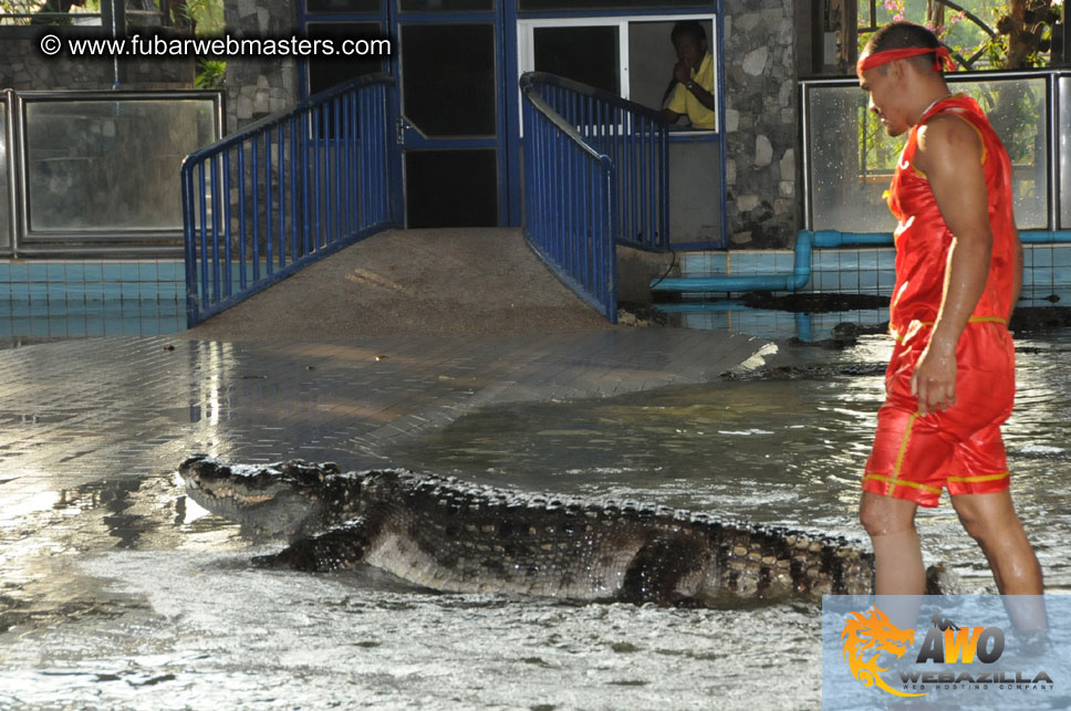 Crocodile Farm