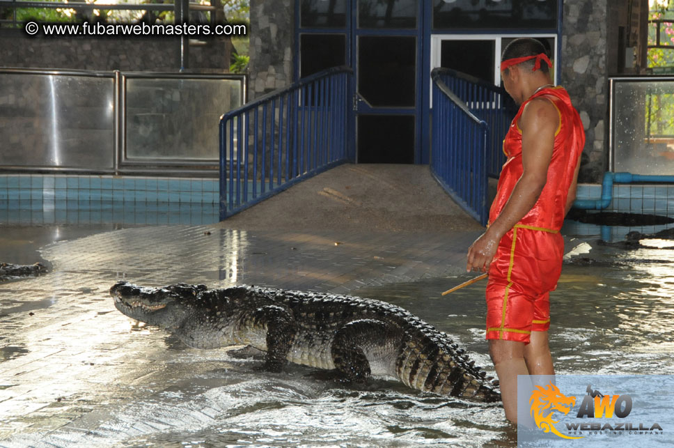 Crocodile Farm