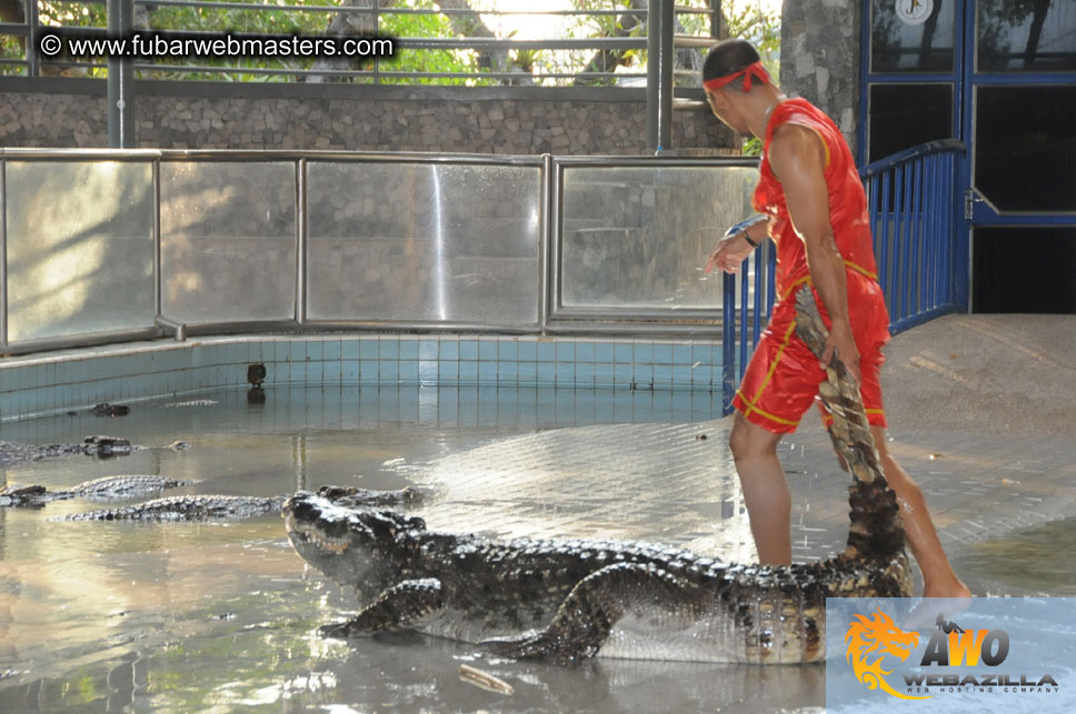 Crocodile Farm