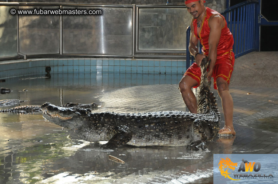 Crocodile Farm