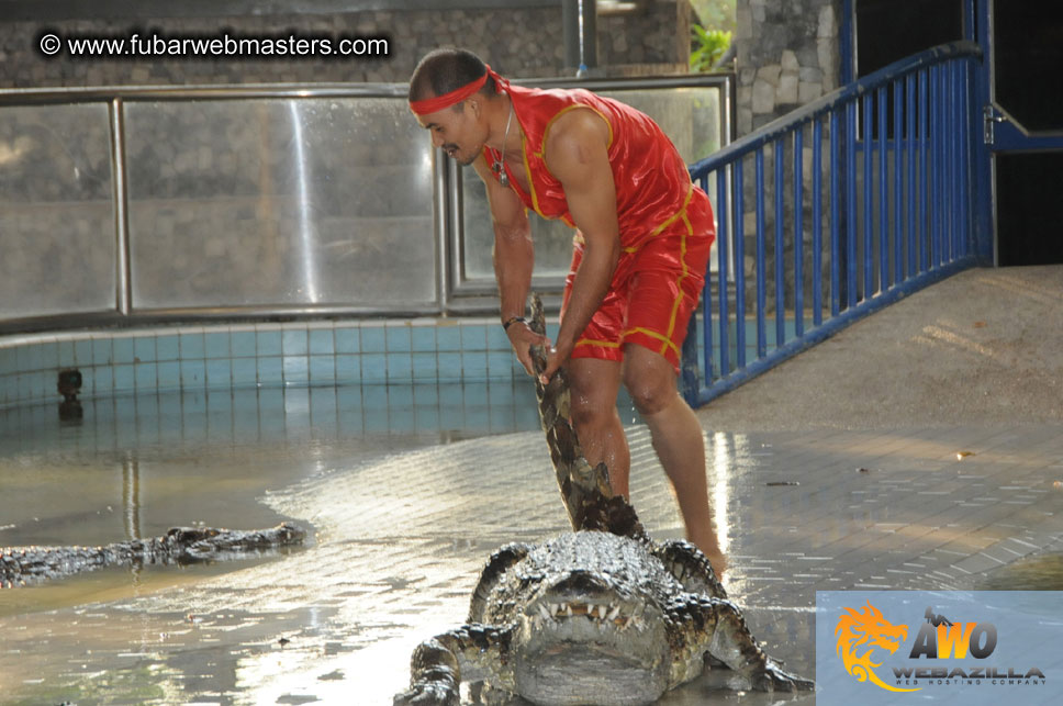 Crocodile Farm