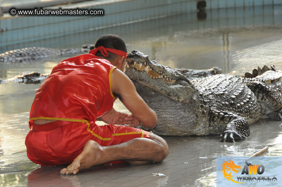 Crocodile Farm