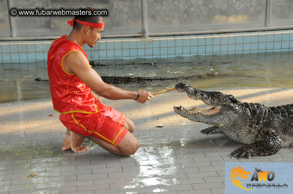 Crocodile Farm