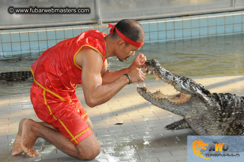 Crocodile Farm